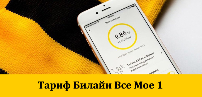 Проезд-Билайн-все-мое-1