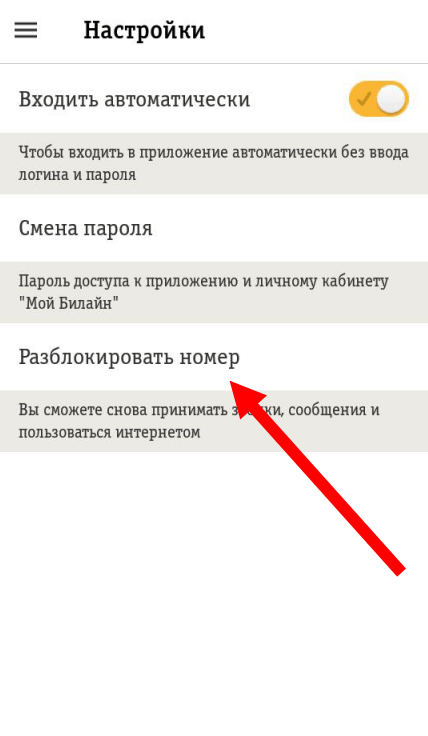 Как разблокировать номер телефона Билайн - Пошаговая инструкция